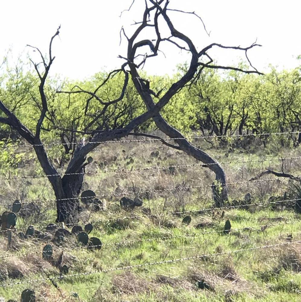 Meet your Posher, Anita